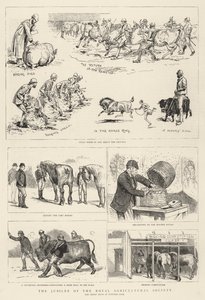Jubileet til Royal Agricultural Society